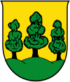Coats of arms Stadtgemeinde Saalfelden am Steinernen Meer