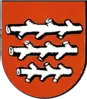 Coats of arms Stadtgemeinde Knittelfeld