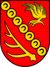 Coats of arms Gemeinde Wenigzell
