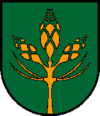 Coats of arms Gemeinde Wildermieming