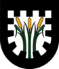 Coats of arms Gemeinde Pinswang