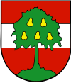 Coats of arms Stadtgemeinde Dornbirn