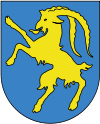 Coats of arms Stadtgemeinde Hohenems