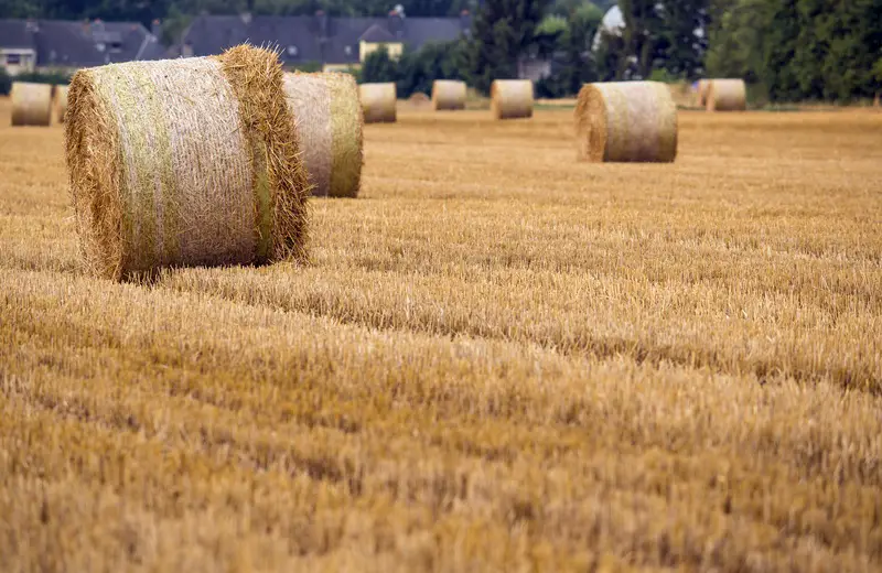 Farmers (comparison to Austria)